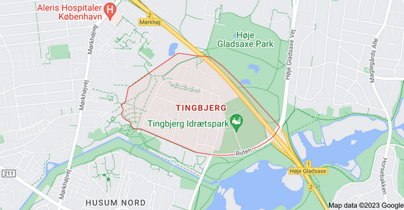 Blog: Kvinderne i Tingbjerg